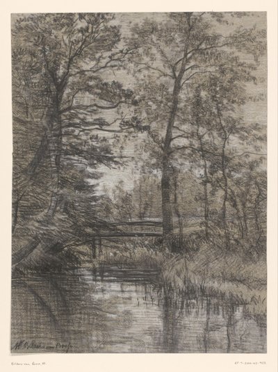 Stagno nel bosco da Maria Bilders van Bosse (signed by artist)