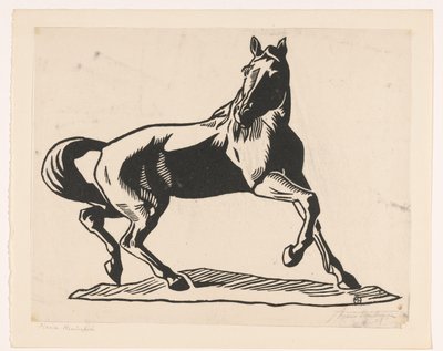 Cavallo da Maria Hinloopen