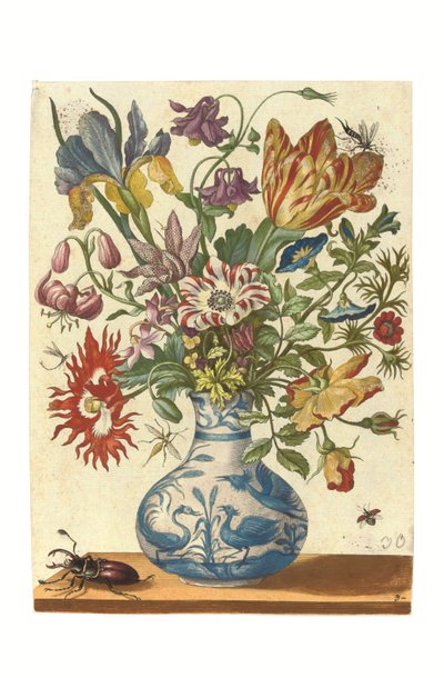 Piastra dal Blumenbuch (incisione colorata a mano) da Maria Sibylla Graff Merian