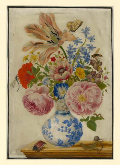  da Maria Sibylla Merian