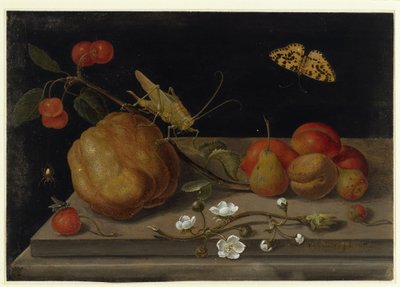  da Maria Sibylla Merian