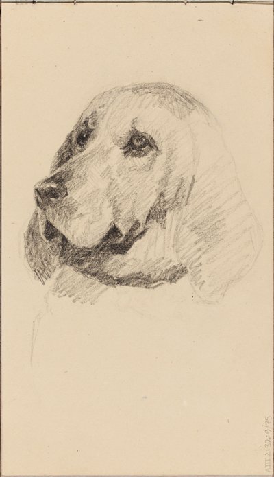Testa di cane da Maria Wiik