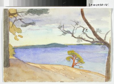 Paesaggio costiero da Maria Wiik