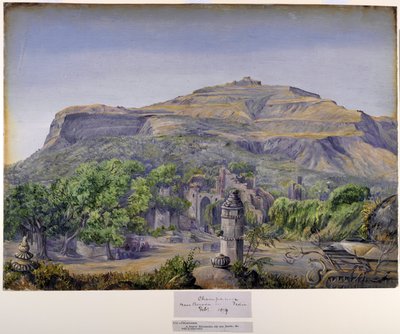 Champaneer, vicino a Baroda, India da Marianne North