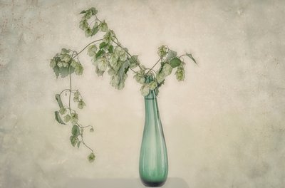 Natura morta con luppolo verde da Marie-anne Stas