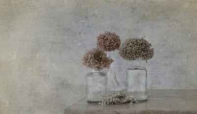  da Marie-anne Stas