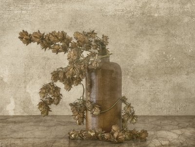 Natura morta con luppolo rustico da Marie-anne Stas