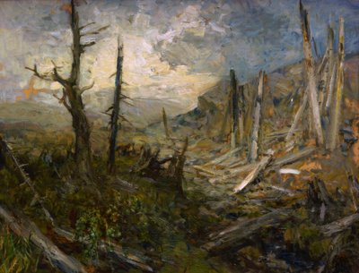Alberi abbattuti dal vento sulla Koralpe da Marie Egner