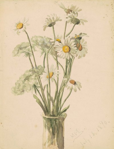 Margherite e fiori di pizzo della Regina Anna in un vaso, 1890 da Marietta Minnegerode Andrews