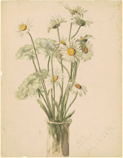 Margherite e Fiore della Regina Anna da Marietta Minnigerode Andrews