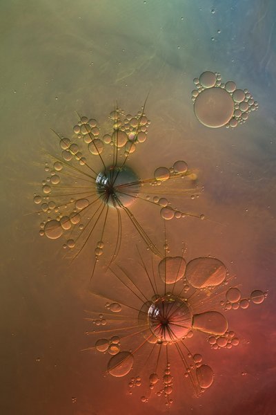 Esplosioni di stelle colorate e fluide da Marijose Cueli