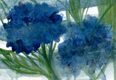 Ortensie blu, 2020 da Marina Falco