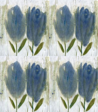 Tulipani blu da Marina Falco