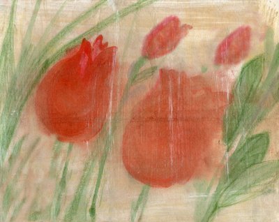 Tulipani rossi da Marina Falco