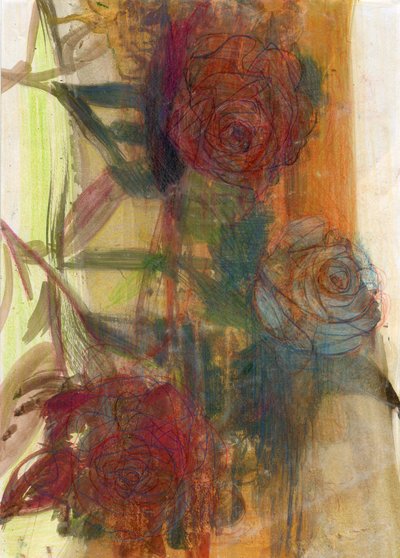 Rose da Marina Falco