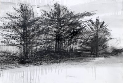 Alberi da Marina Falco