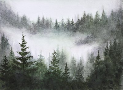 Serenità della foresta nebbiosa da Marina Kozyr
