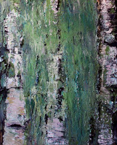 Corteccia di betulla ricoperta di muschio verde da Marina Nelson