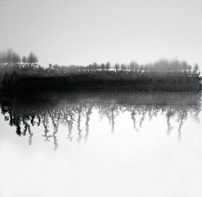 Riflesso nella foresta monocromatica da Marina Nelson