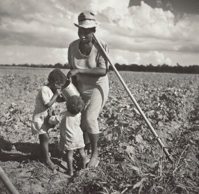 Donna nera che dà da bere ai figli nel campo dove sta zappando il cotone in un progetto cooperativo FSA (piantagione Allen) da Marion Post Wolcott