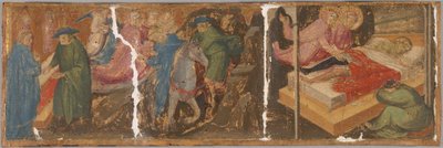 Scene dalla leggenda dei Santi Cosma e Damiano da Mariotto di Nardo