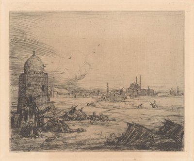 Veduta della città con moschee da Marius Bauer