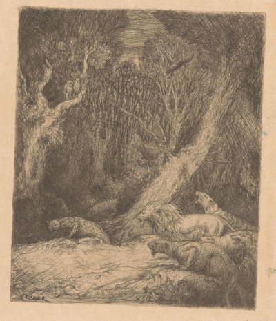Animali selvatici nel bosco da Marius Bauer
