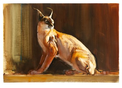 Caracal arabo da Mark Adlington