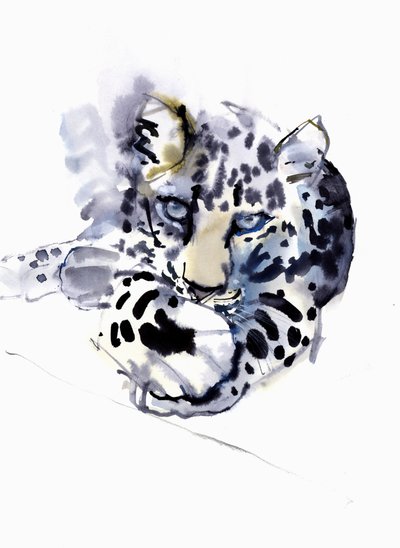 Leopardo Arabo, 2008 da Mark Adlington