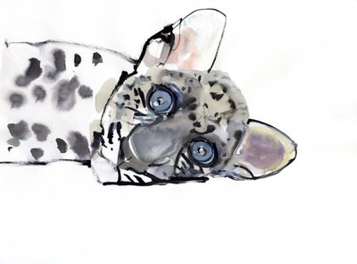 Leopardo arabo, 2008 da Mark Adlington
