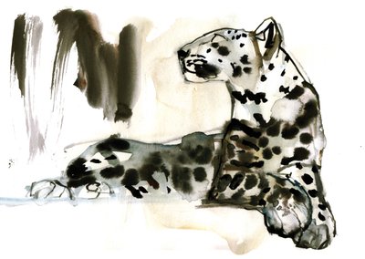 Leopardo arabo, 2008 da Mark Adlington