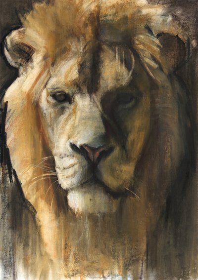 Leone asiatico, 2015, (pigmento, pastello e conté su carta) da Mark Adlington