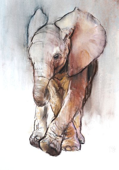 Elefantino 2, Loisaba da Mark Adlington