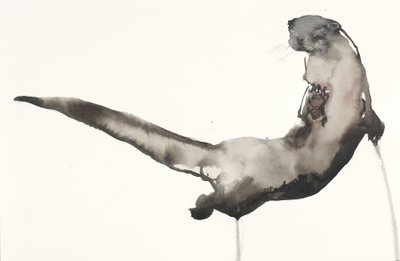 Back Awash (Lontra) da Mark Adlington