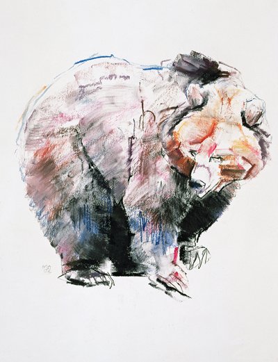 Orso da Mark Adlington