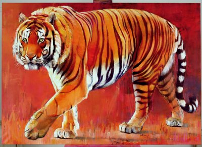 Tigre del Bengala da Mark Adlington