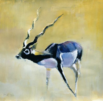 Cervo nero, Velavadar, 1997 da Mark Adlington