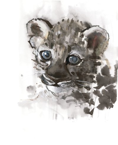 Occhi blu (cucciolo di leopardo arabo), 2008 da Mark Adlington