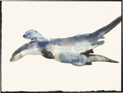 Corteggiamento delle lontre da Mark Adlington
