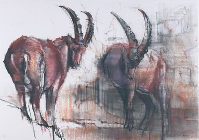 Non Guardare Giù da Mark Adlington