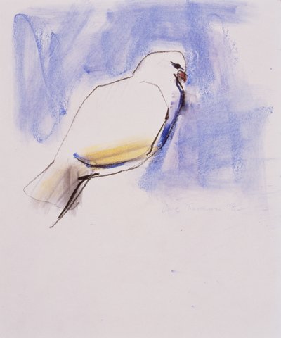Colomba, Trasierra, 1998 da Mark Adlington