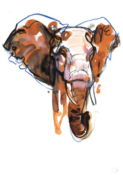 Studio della Testa di Elefante da Mark Adlington
