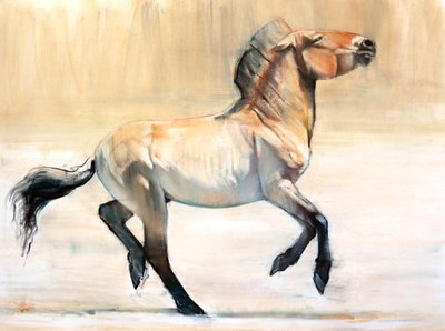 Equus (Przewalski) da Mark Adlington
