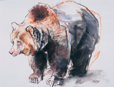 Orso bruno europeo, 2001 da Mark Adlington