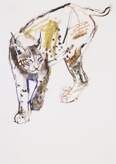Lince europea da Mark Adlington