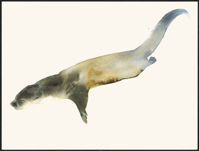 Lontra europea da Mark Adlington