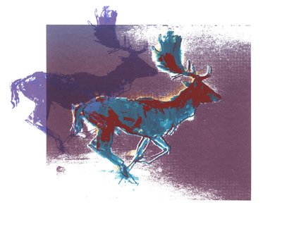 Cervi in calore (bluered, purple), 2015 da Mark Adlington