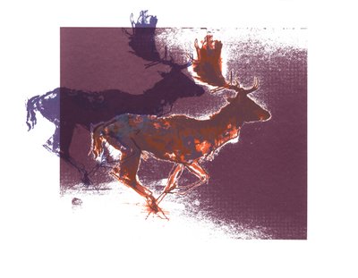 Cervi in Fuga (arancione-lilla), 2015, (serigrafia) da Mark Adlington