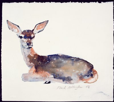 Cerbiatto da Mark Adlington