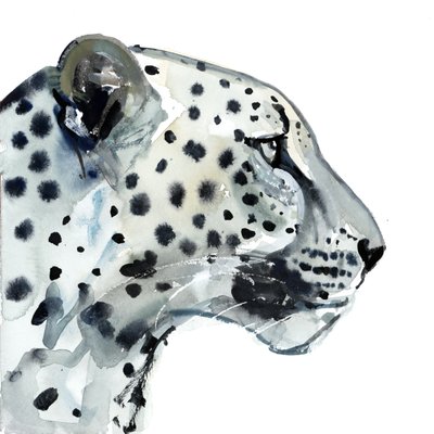 Focus, 2015 da Mark Adlington